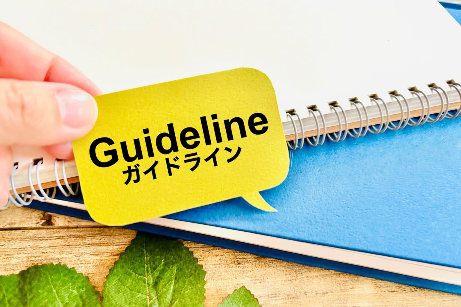 33410594_m-1536x1024 (1).jpg