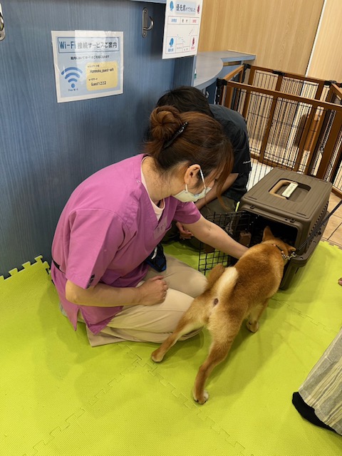 クレートトレーニング.jpg