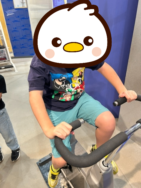 s11580-2-fotor-20260914113939.png