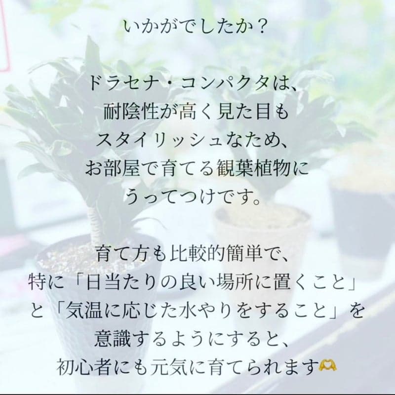 o1080108015275361773 (1).jpg