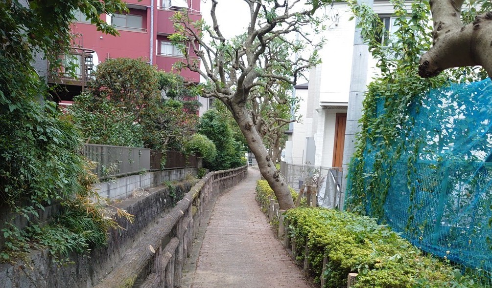 募集要項画像