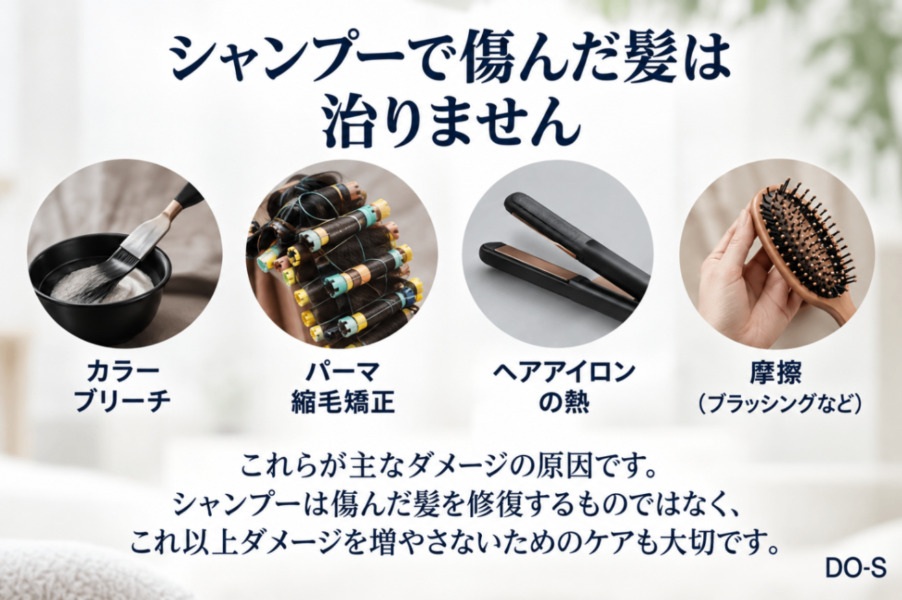 5D872344-8724-499D-82A1-AA60E951EBF2.png