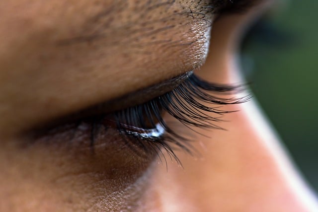 eyelashes-8536940_640.jpg