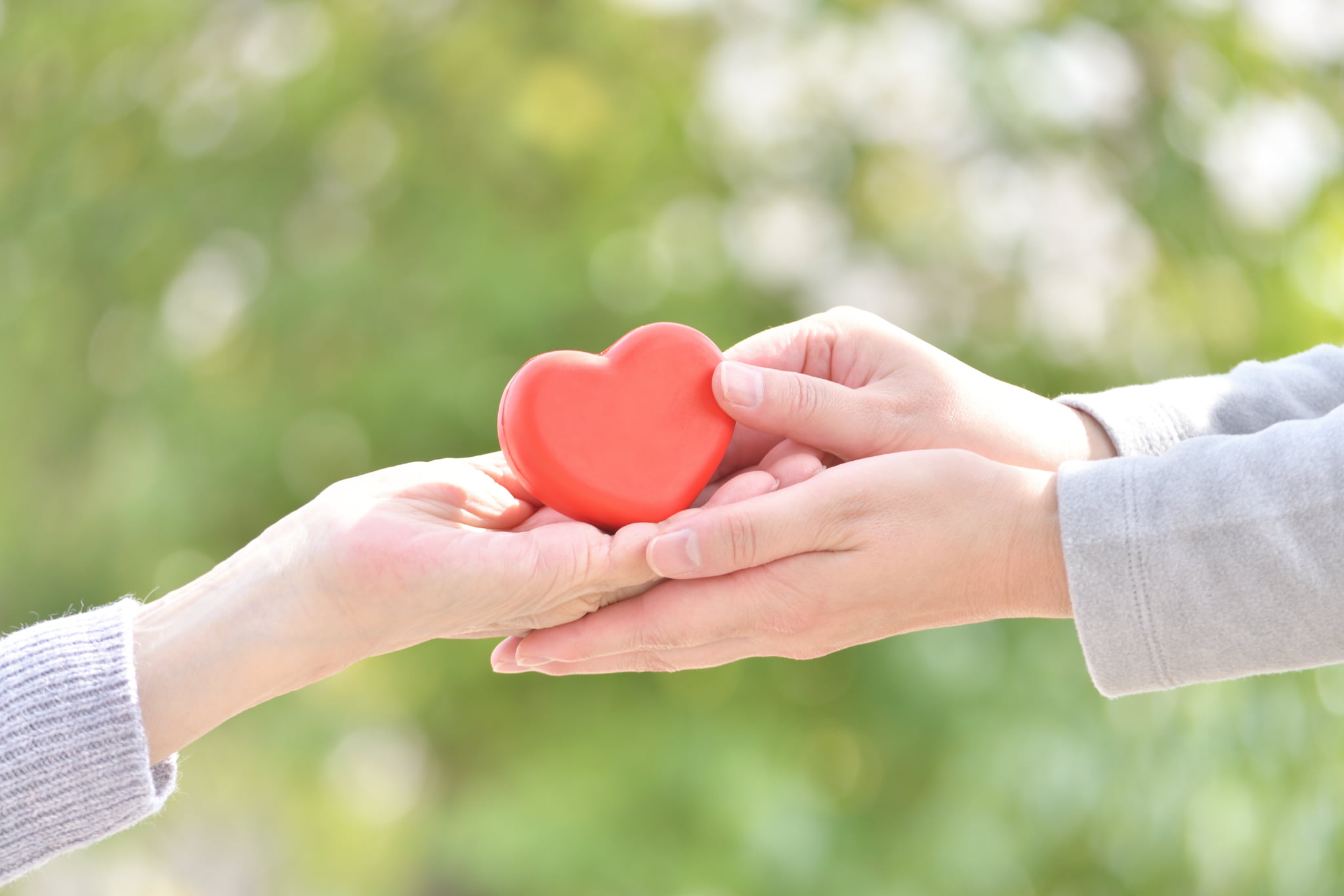 メインビジュアル画像