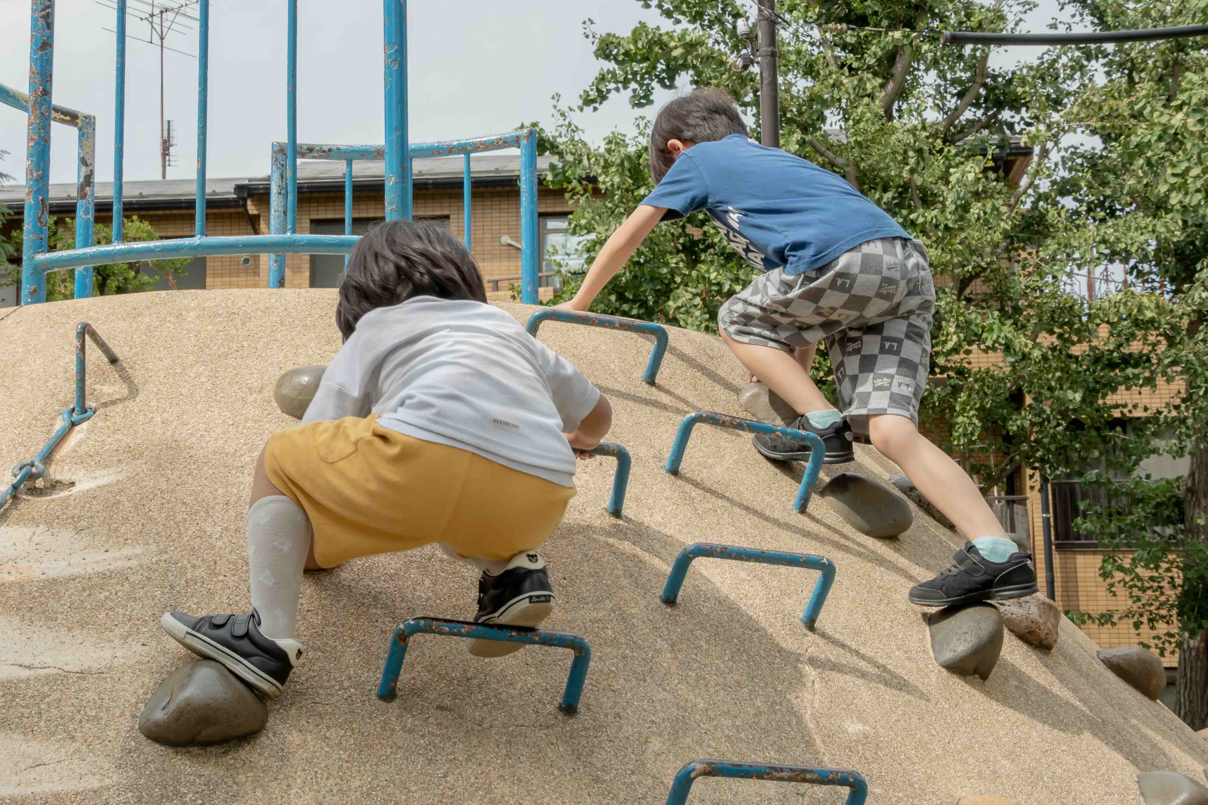 募集要項画像