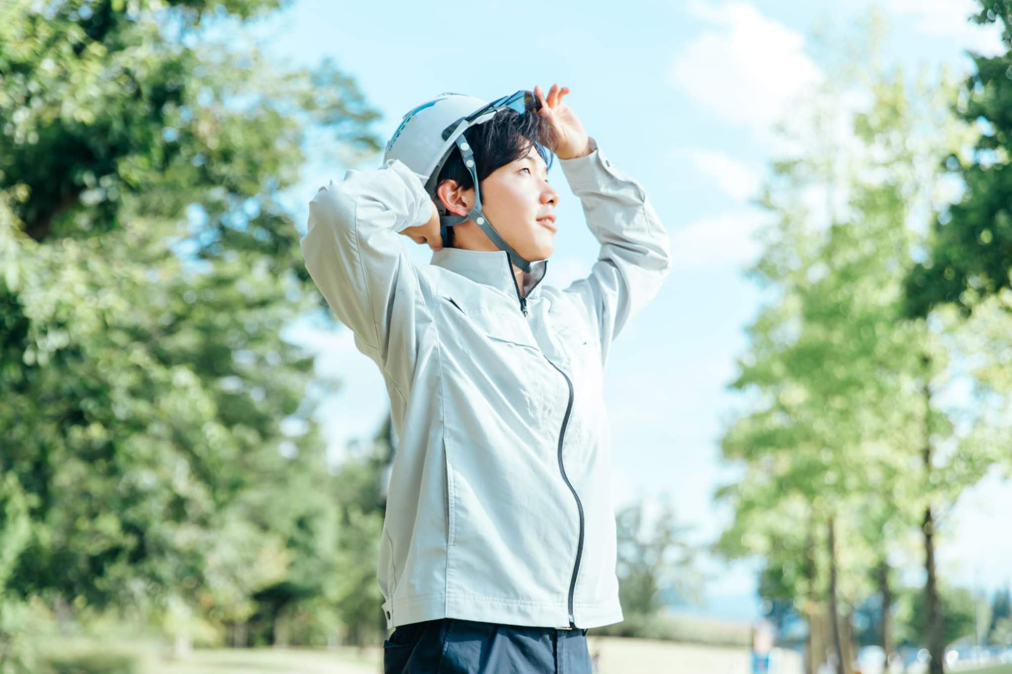 写真