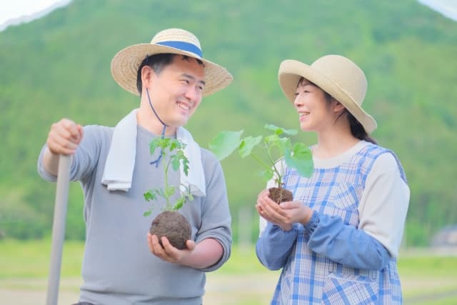 業務内容