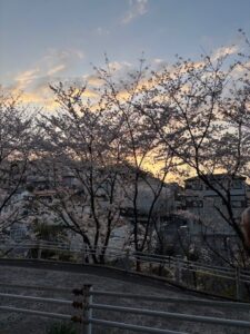 花見3-225x300.jpg